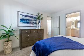 A bedroom with a bed covered in a blue blanket, a dresser, and a potted plant.