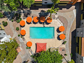 Aerial view of the pool surrounded by umbrellas at Villatree apartments in Tempe.