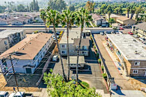 A residential area with houses and palm trees.