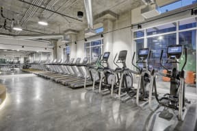 a row of cardio machines in a fitness gym at L Seven, San Francisco, CA