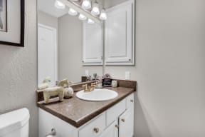 a bathroom with a sink and a mirror at Madison Brookhaven, Georgia