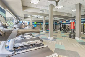 Gym at Lassiter at North Hills, Raleigh, NC