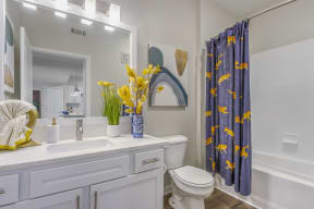 Bathroom at Lassiter at North Hills, Raleigh
