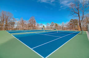 A tennis court with a net and trees in the background.
