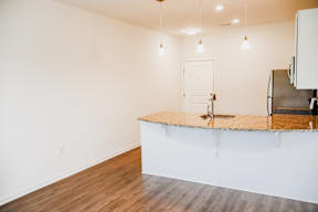 A kitchen with a white counter and a white door.