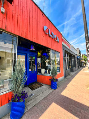 a red building with a blue door and blue potted plants