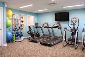 A gym with treadmills, elliptical machines, and exercise balls.