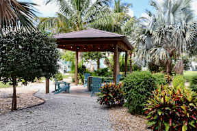 A gazebo surrounded by greenery and trees.