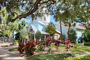 A house with a blue roof and white trim is surrounded by greenery.