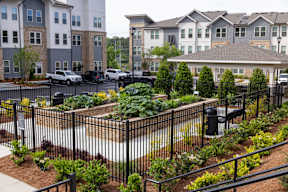 Walton Crossing in Norcross, GA Apartment Community Affordable Near Me Spacious New