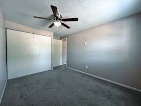 the living room has a ceiling fan and a carpet