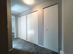 a row of white closets in a room with carpet