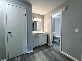 a bathroom with a mirror and a sink and a toilet