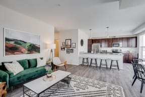Open Concept Living Room & Kitchen