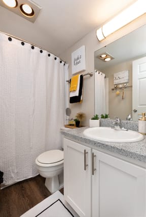 Full Sized Bathroom with Hardwood Style Flooring and White Vanity with Stainless Steel Hardware