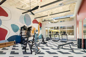A gym with a variety of equipment including treadmills, weights, and a bench press.
