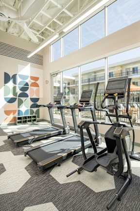 A gym with treadmills and elliptical machines.