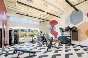 A gym with a variety of equipment including weights and exercise machines.