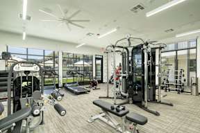 A gym with a variety of equipment including treadmills, weights, and a bench press.