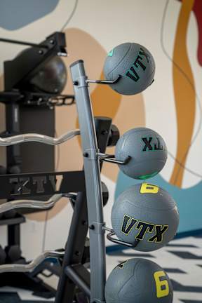 A set of dumbbells with the letters VTX printed on them.