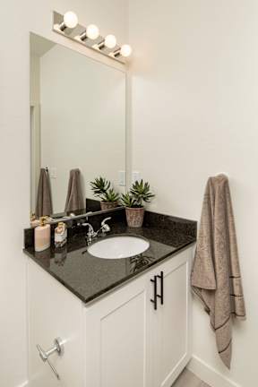 A bathroom with a sink, mirror, and a plant.