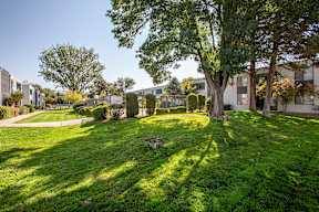 Lush landscaping at Villas Del Cielo Aprartments in Albuquerque New Mexico October 2020
