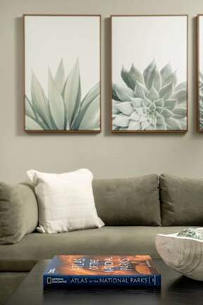 A living room with a grey couch, a coffee table with a book and a bowl on it, and two framed pictures of succulents on the wall.