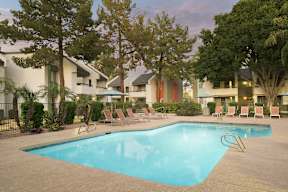 Pool at Orchard on Gilbert in Gilbert AZ