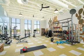 A gym with a variety of equipment including weights and a bench.
