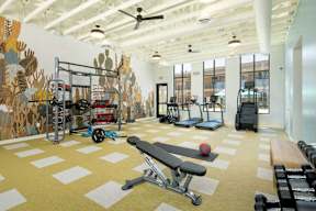 A gym with a variety of equipment including a bench, weights, and a treadmill.