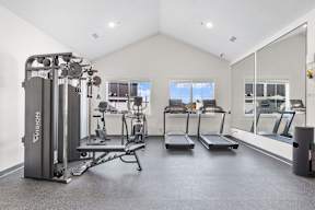 A spacious gym with a variety of equipment including a VASI machine, treadmills, and a mirrored wall.