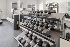 A gym with a rack of dumbbells.