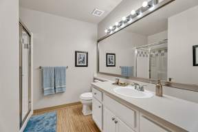 A bathroom with a toilet, sink, and mirror.