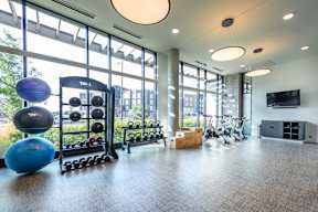 the gym at the flats at big tex apartments