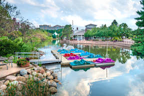 a row of colorful boats parked on the water at a dock