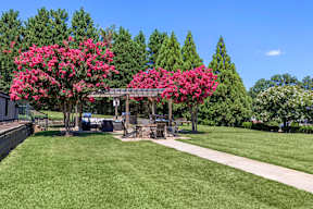 A park with a gazebo and a tree with pink flowers.