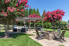 A patio with a table and chairs under a pergola with pink flowers.