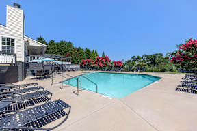 A large outdoor swimming pool surrounded by lounge chairs and trees.