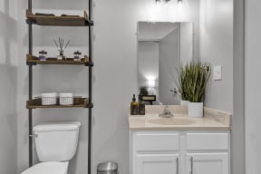 a bathroom with a toilet and a sink and a mirror