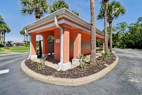 A small building with a porch and pillars is surrounded by palm trees.