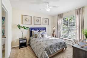A bedroom with a bed, a plant, and a ceiling fan.