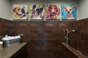 A bathroom with a brown tiled wall and a shelf with a container of dog treats on it.