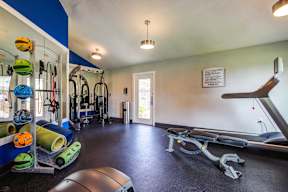 A gym with a variety of equipment including a treadmill, weights, and a bench press.