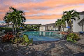 A pool surrounded by palm trees and a sun lounger.