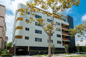 A modern building with a tree in front of it.