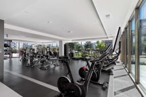 the gym has plenty of exercise equipment and floor to ceiling windows