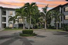 A palm tree in front of a building with a round bush in the middle of the road.