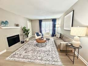 A living room with a fireplace, a couch, a chair, a coffee table, and a rug.