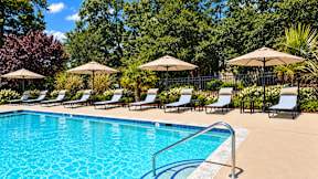 A pool surrounded by trees and chairs with umbrellas.
