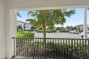 A tree in a courtyard with a car parked in the background.